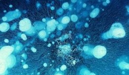 气泡 在线观看,揭秘神秘世界的在线奇观